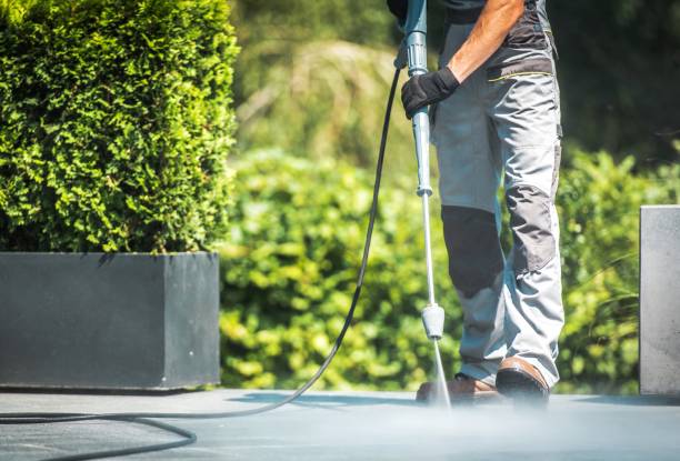Best Pool Deck Cleaning in Elmo, TX