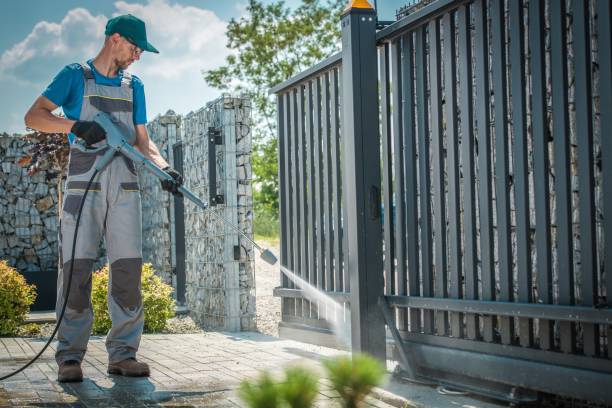 Best Gutter Cleaning and Brightening in Elmo, TX