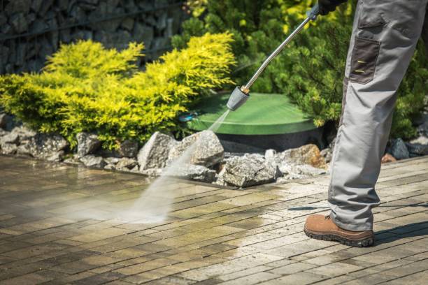 Best Brick and Stone Cleaning in Elmo, TX