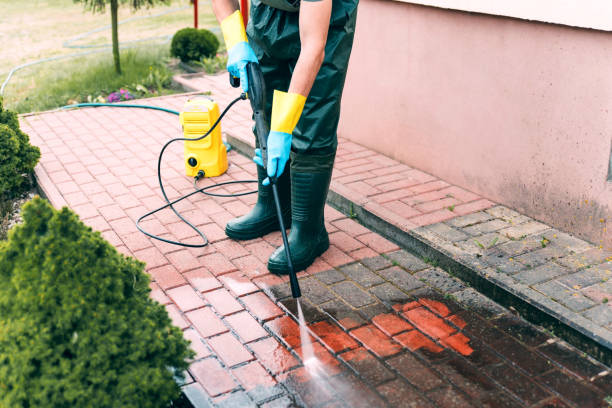 Best Fence Cleaning and Maintenance in Elmo, TX