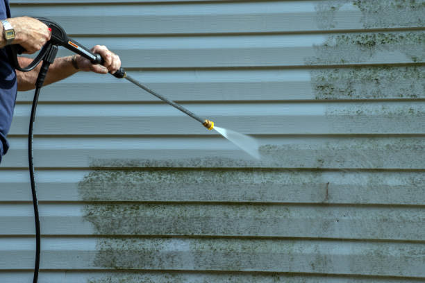 Best Rust and Stain Removal in Elmo, TX