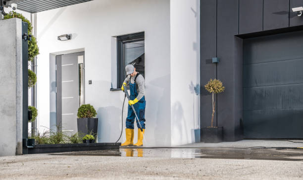 Best Commercial Pressure Washing in Elmo, TX